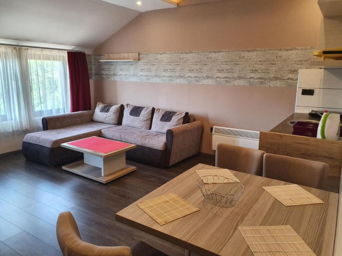 Apartman Vera Копаоник Экстерьер фото